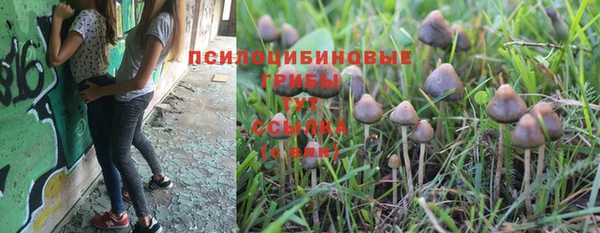героин Алзамай